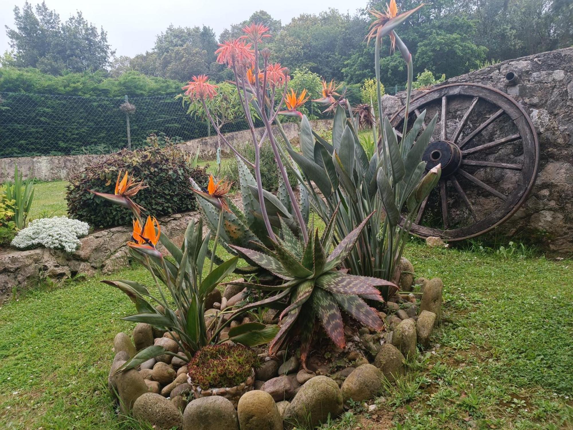 Casa Coba Villa Camijanes Exteriör bild